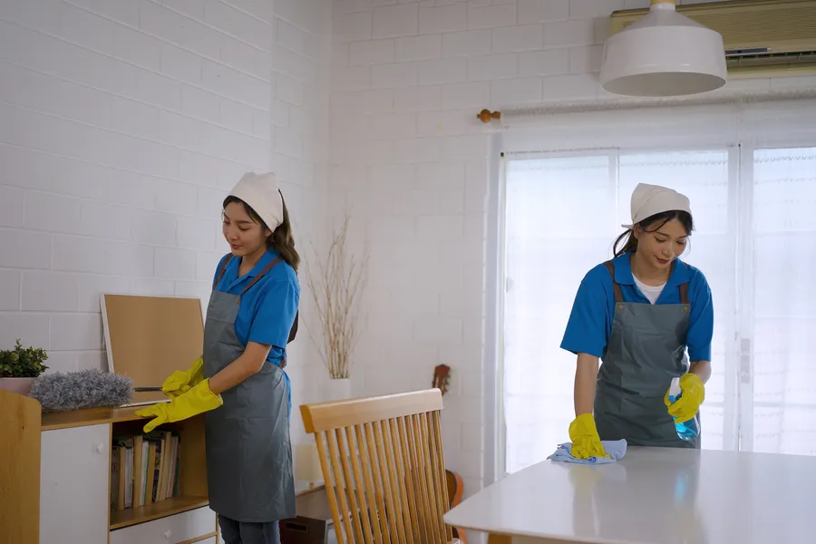 Move-in Cleaning Tips To Reduce Household Allergens Summit Hill, PA Move-in Cleaning Tips To Reduce Household Allergens Summit Hill, PA