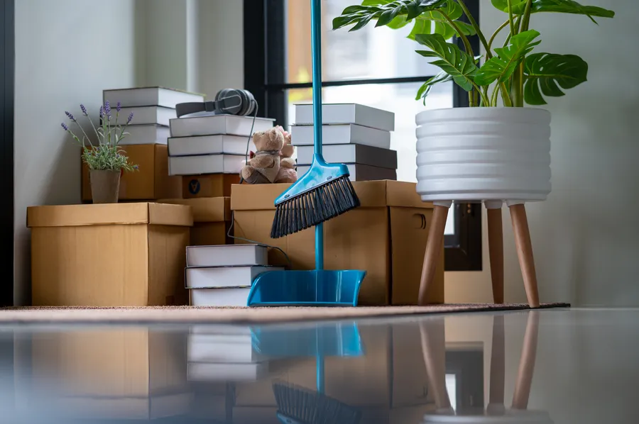 Move-in Cleaning Tips To Reduce Household Allergens in Summit Hill, PA Move-in Cleaning Tips To Reduce Household Allergens in Summit Hill, PA